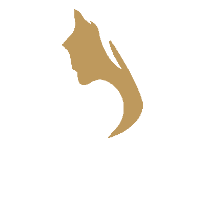 schs-logo-sq-cat The Skincare & Hair Spa logo