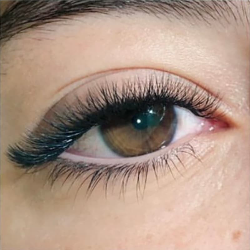 lash-type-3_d Russian Volume Eyelash Extensions 3 D